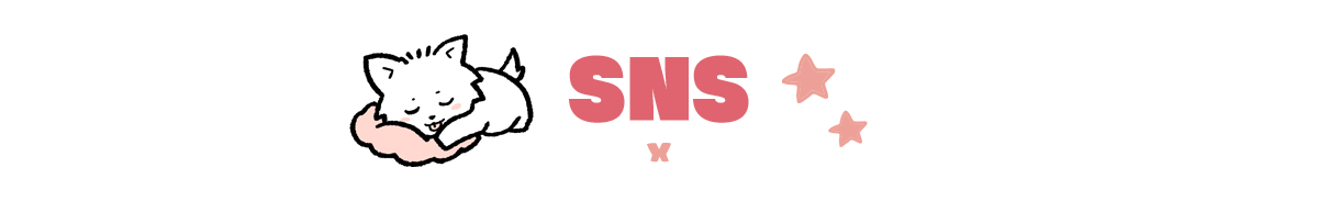 SNS